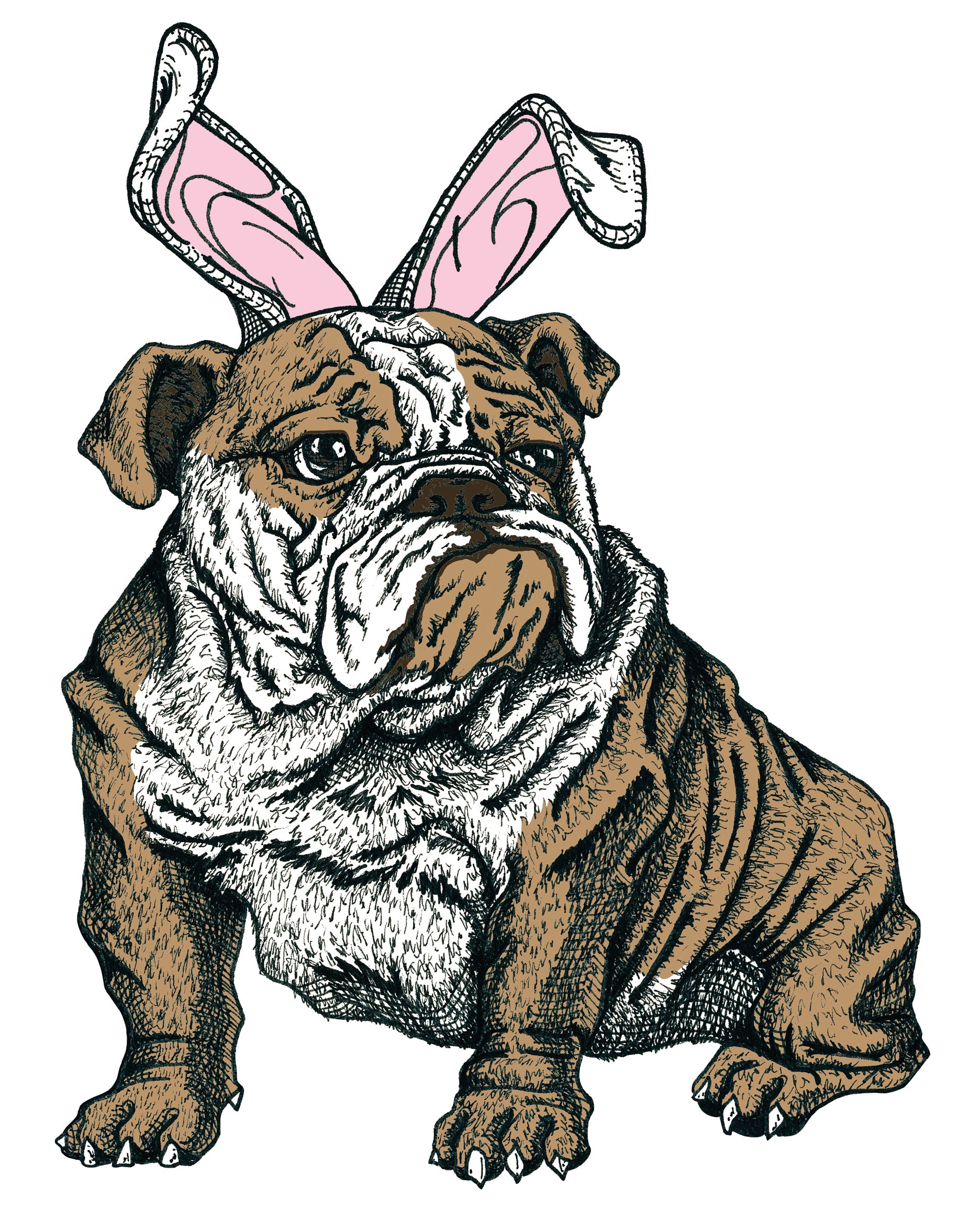 Sapphorica Creations Phillip the Bulldog Sticker - Sapphorica Creations