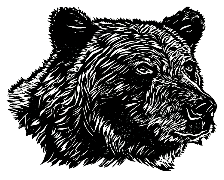 Sapphorica Creations Canadian Grizzly Bear Sticker - Sapphorica Creations