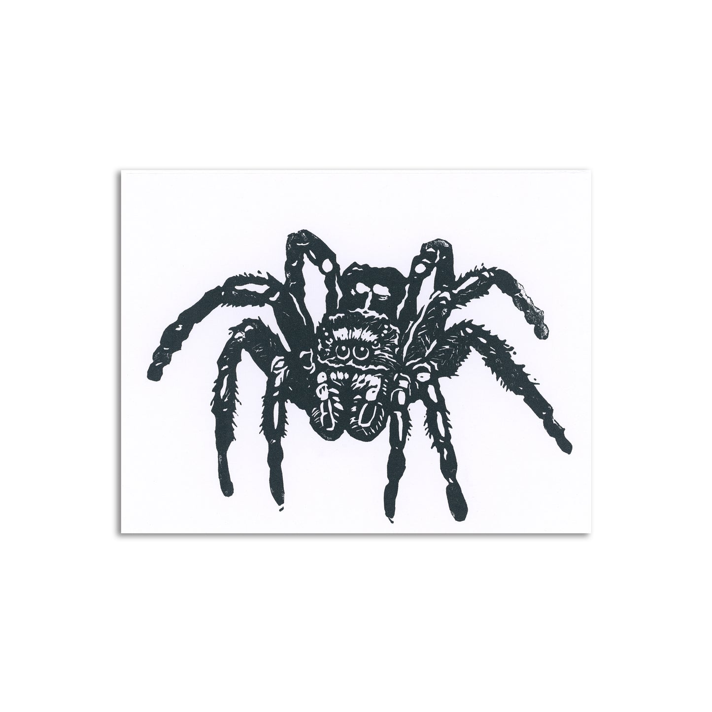 Sapphorica Creations Jumping Spider Art Card - Sapphorica Creations