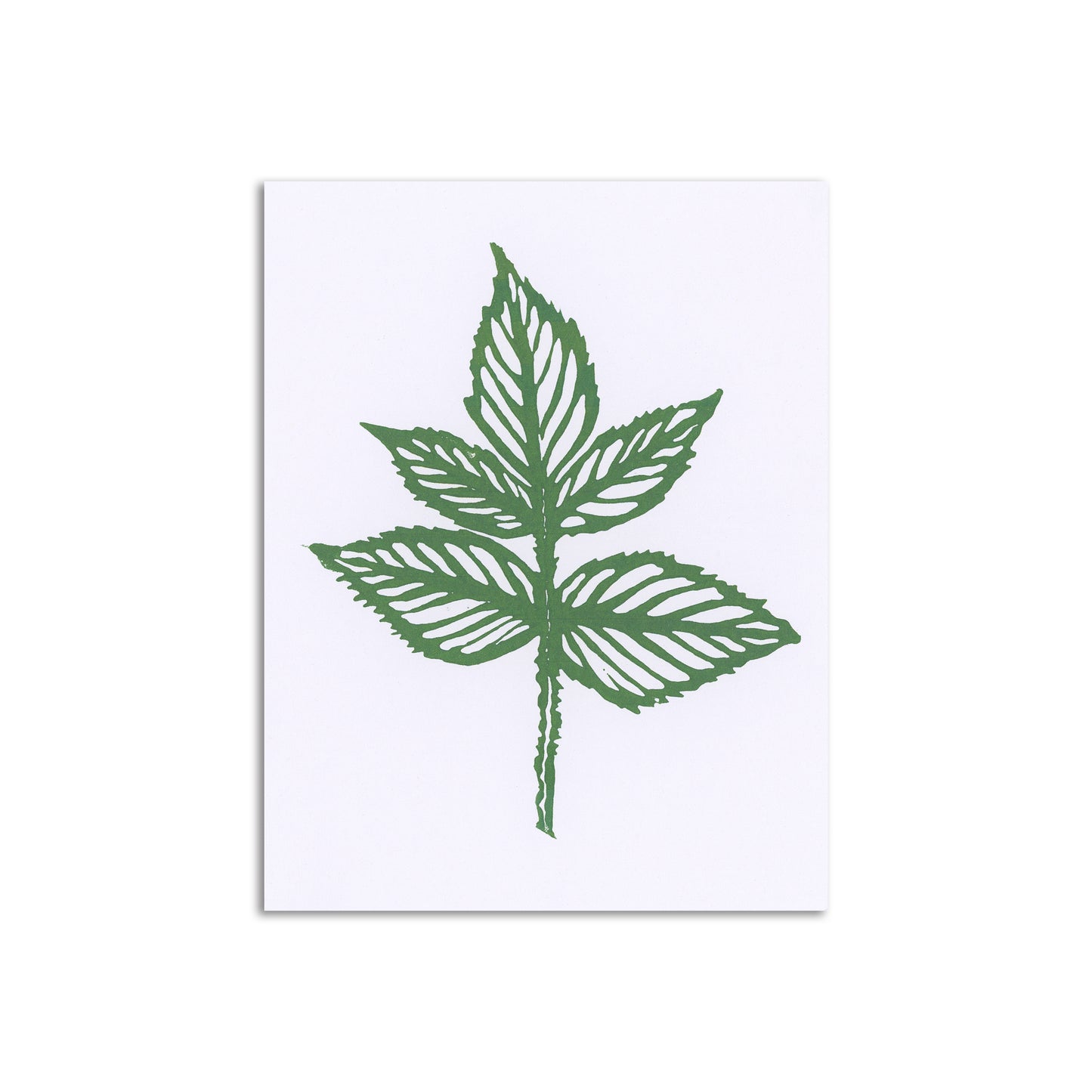 Sapphorica Creations Red Raspberry Art Card