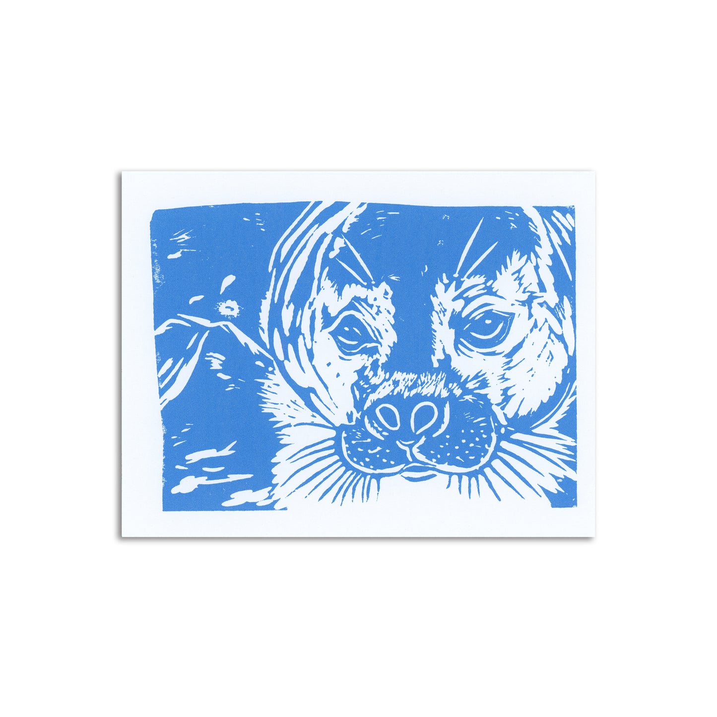 Sapphorica Creations Baby Seal Art Card - Sapphorica Creations