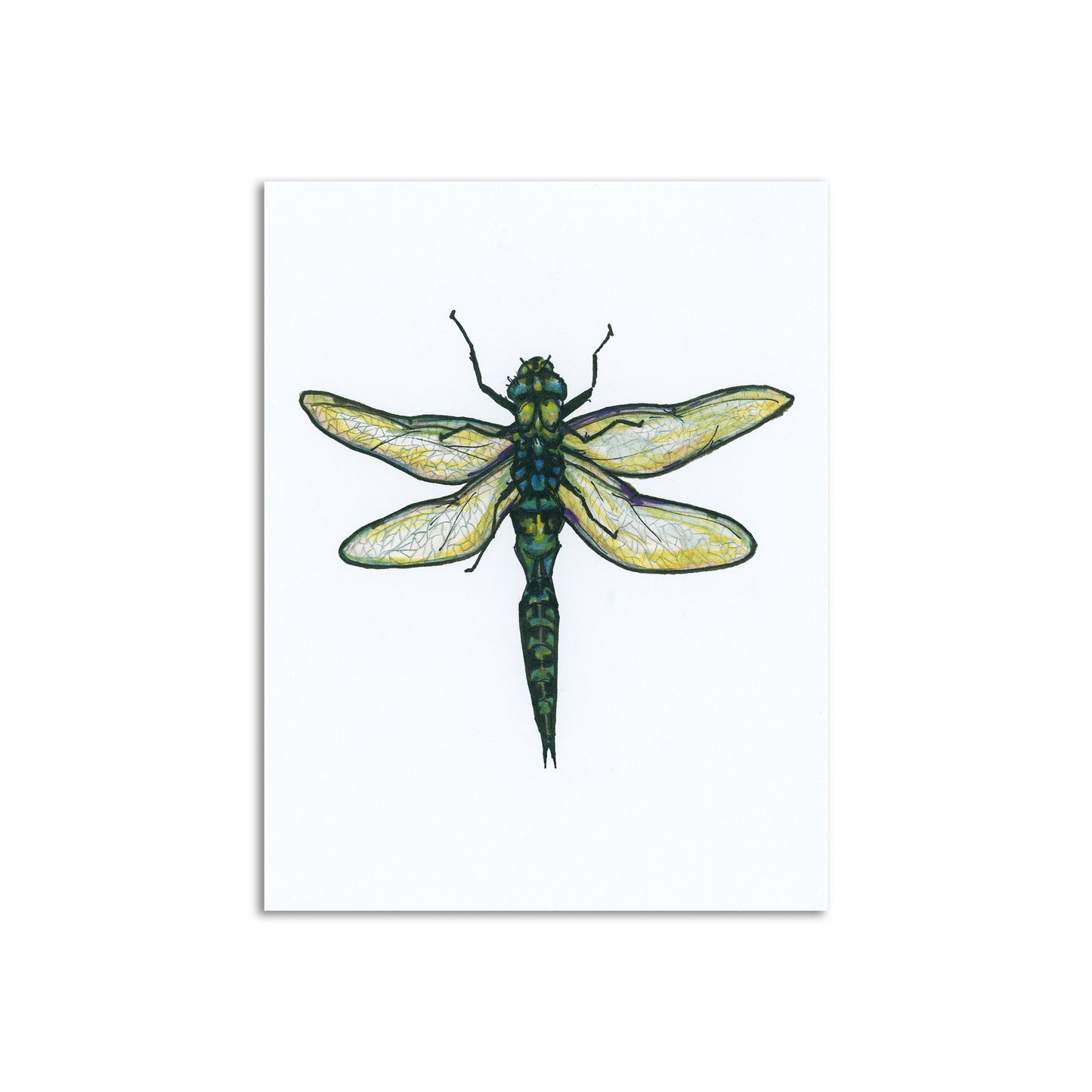 Sapphorica Creations Blue Dragonfly Art Card - Sapphorica Creations