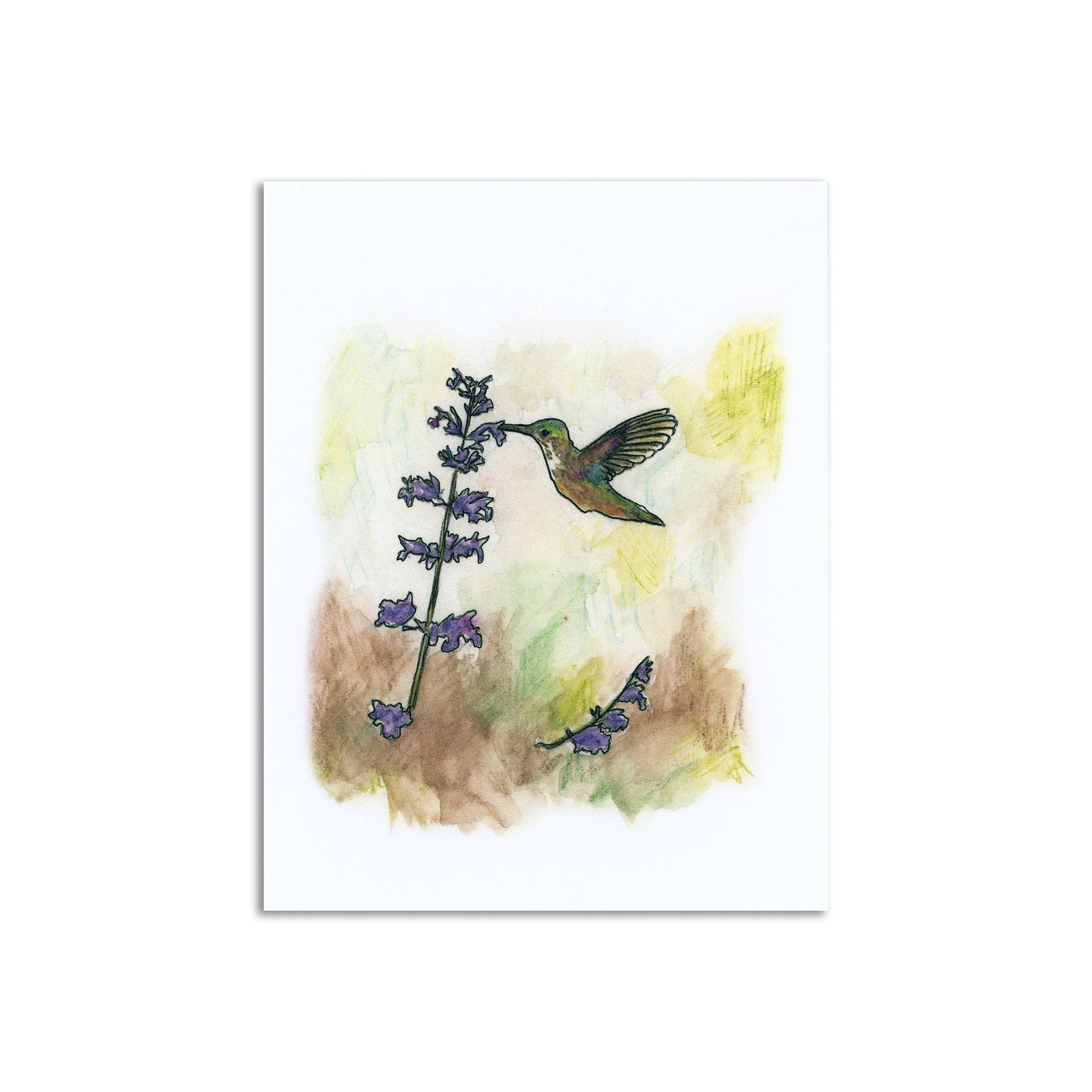 Woodland Wildflower x Sapphorica Creations- Woodland Series II, 5 Art Card Box Set - Sapphorica Creations