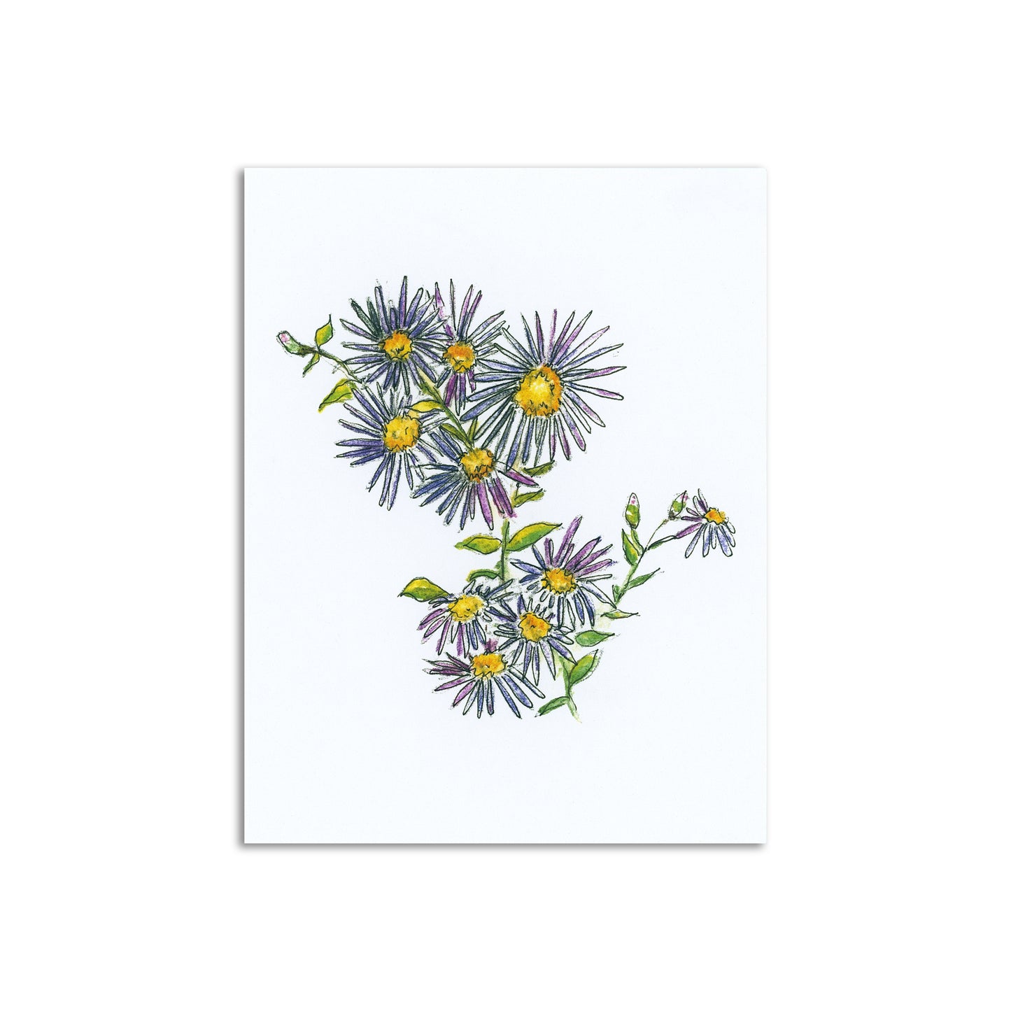Woodland Wildflower x Sapphorica Creations- Wild Asters Art Card - Sapphorica Creations