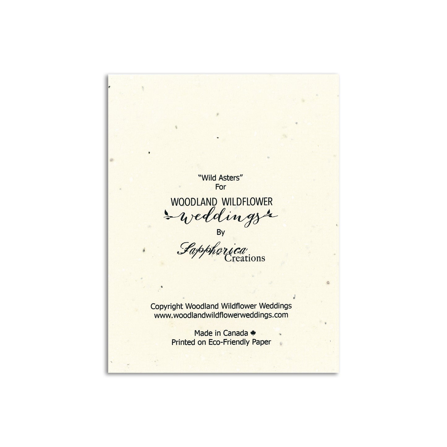 Woodland Wildflower x Sapphorica Creations- Wild Asters Wildflower Seed Art Card - Sapphorica Creations