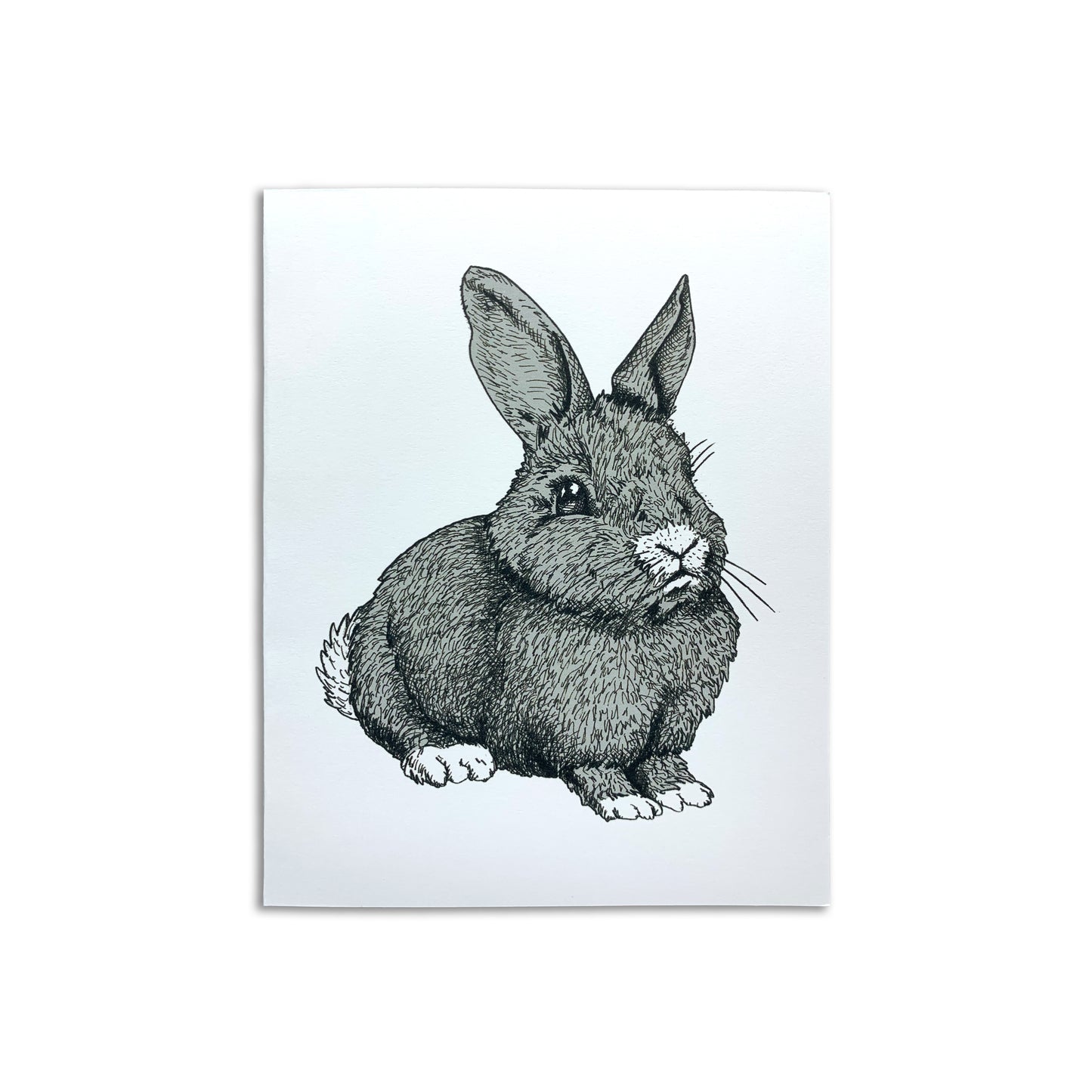 Sapphorica Creations- Henry the Grey Art Card - Sapphorica Creations