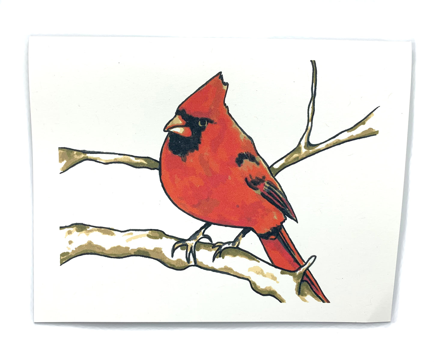 Sapphorica Creations Baby Cardinal Hand-Illustrated Art Card - Sapphorica Creations
