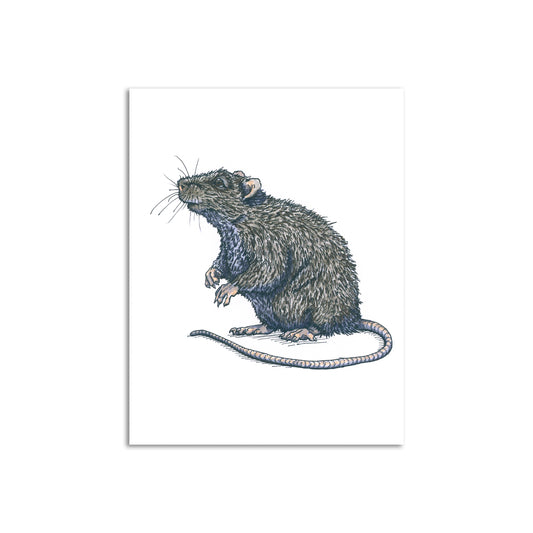 Sapphorica Creations Monsieur Rat Art Card