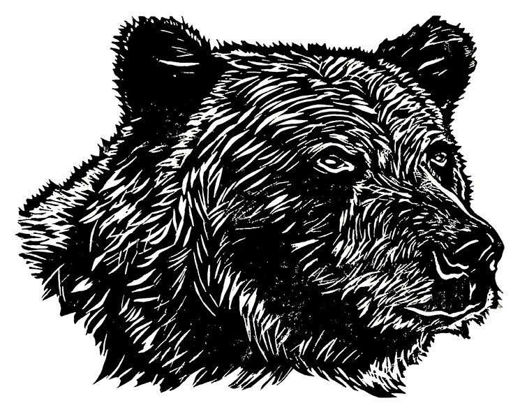 Sapphorica Creations Canadian Grizzly Bear Sticker - Sapphorica Creations 