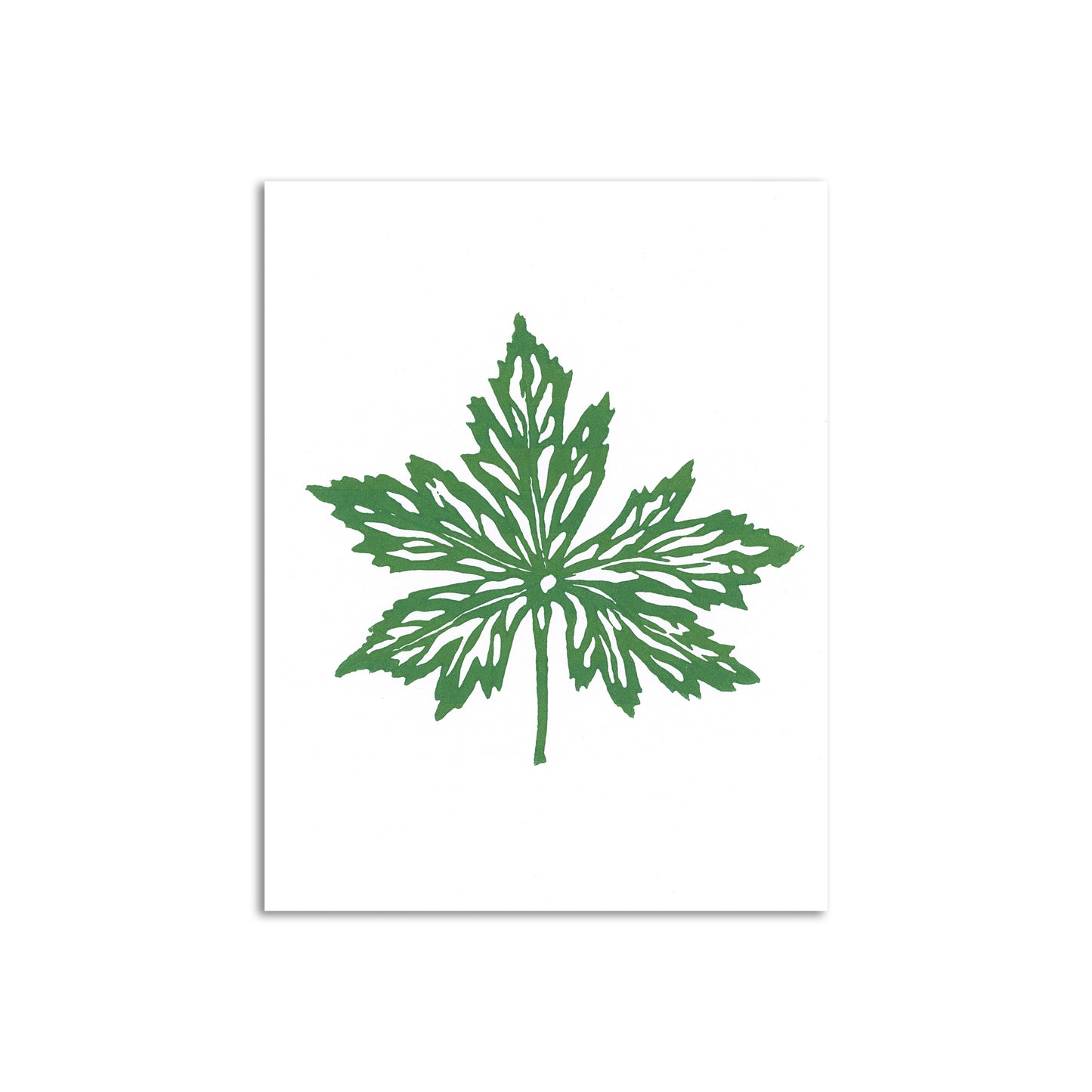 Sapphorica Creations Anemone Leaf Art Card