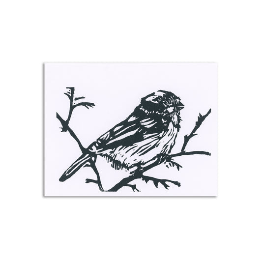 Sapphorica Creations Chickadee Art Card