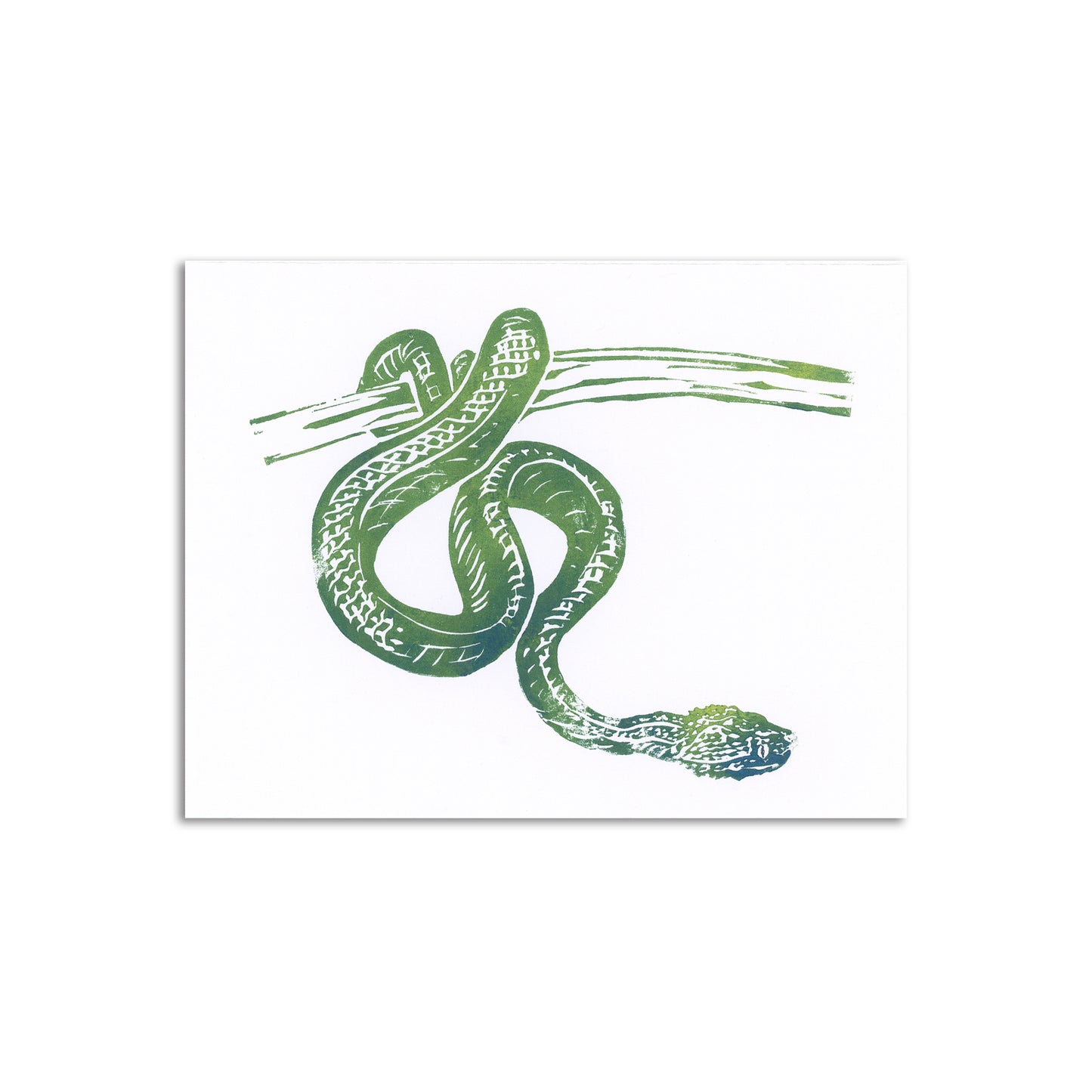 Sapphorica Creations Green Snake Art Card