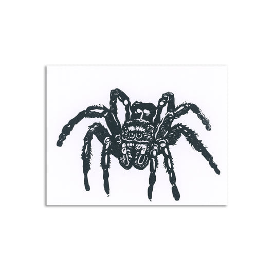 Sapphorica Creations Jumping Spider Art Card