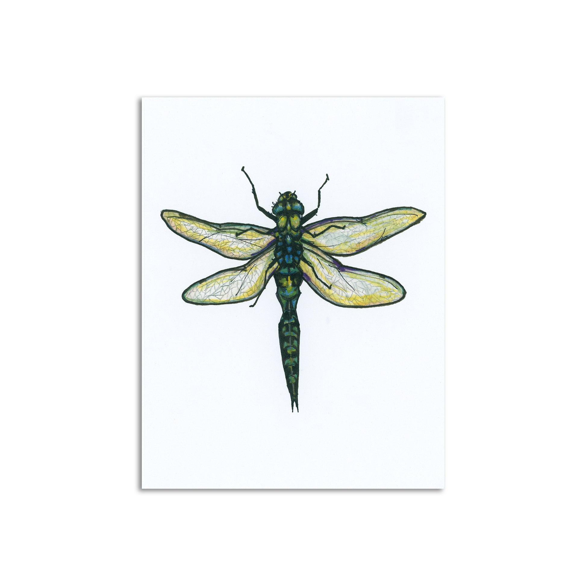Sapphorica Creations Blue Dragonfly Art Card - Sapphorica Creations 