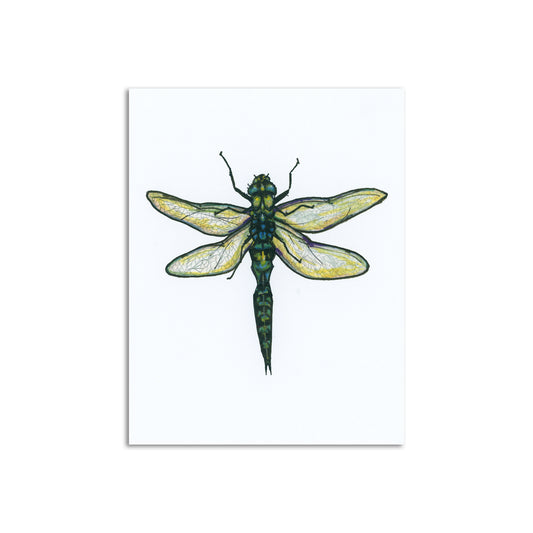 Sapphorica Creations Blue Dragonfly Art Card - Sapphorica Creations 