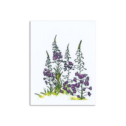 Woodland Wildflower x Sapphorica Creations Fireweed Art Card - Sapphorica Creations 