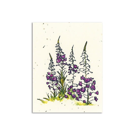 Woodland Wildflower x Sapphorica Creations Fireweed Wildflower Seed Art Card - Sapphorica Creations 