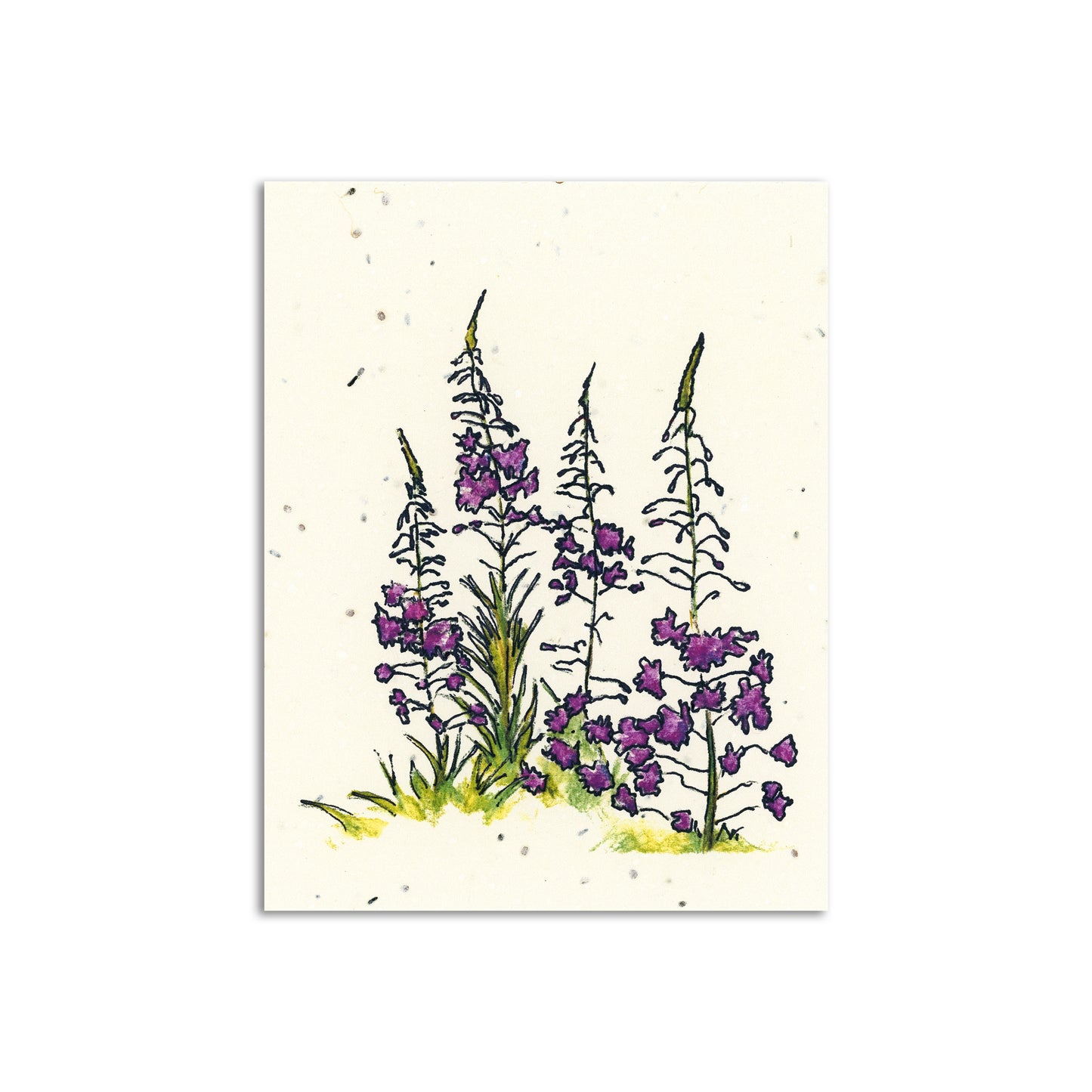 Woodland Wildflower x Sapphorica Creations Fireweed Wildflower Seed Art Card - Sapphorica Creations 