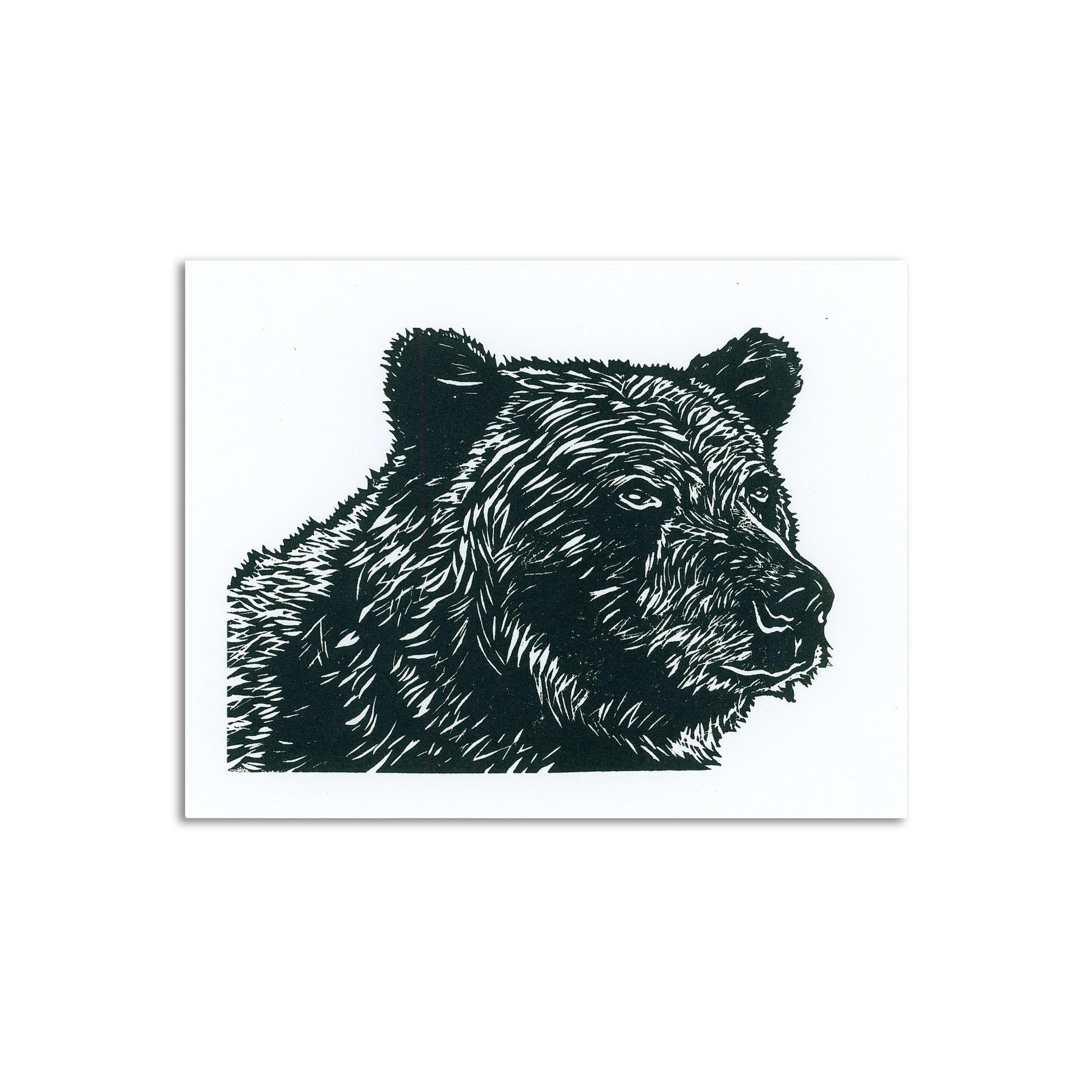 Sapphorica Creations- Grizzly Bear Art Card - Sapphorica Creations 