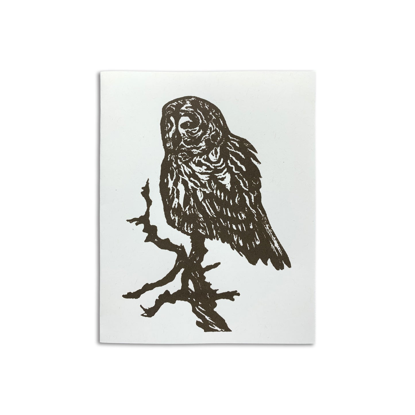 Sapphorica Creations- Barred Owl Art Card - Sapphorica Creations 