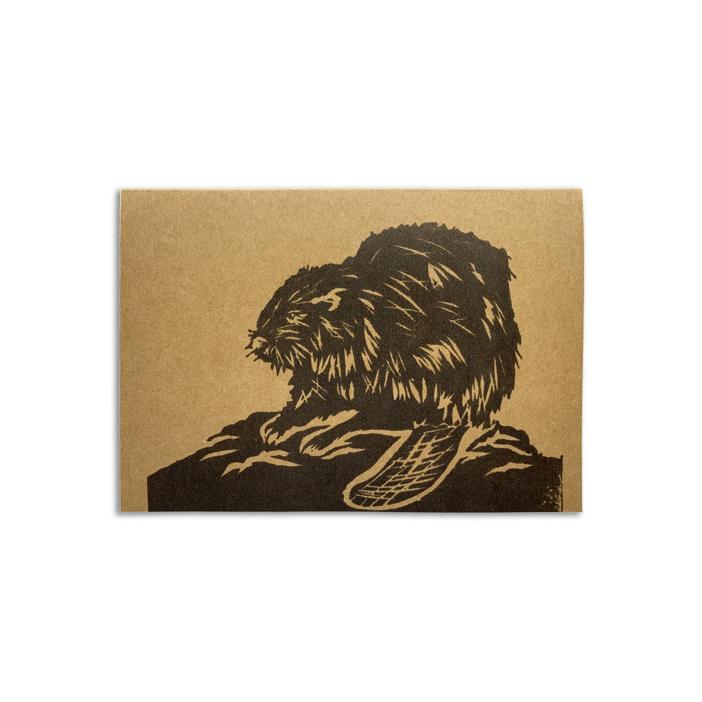 Sapphorica Creations- Canadian Beaver Art Card - Sapphorica Creations 