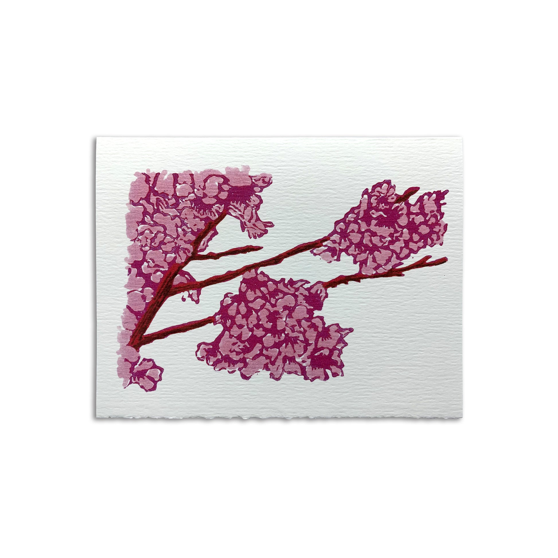 Sapphorica Creations- Cherry Blossoms Art Card - Sapphorica Creations 