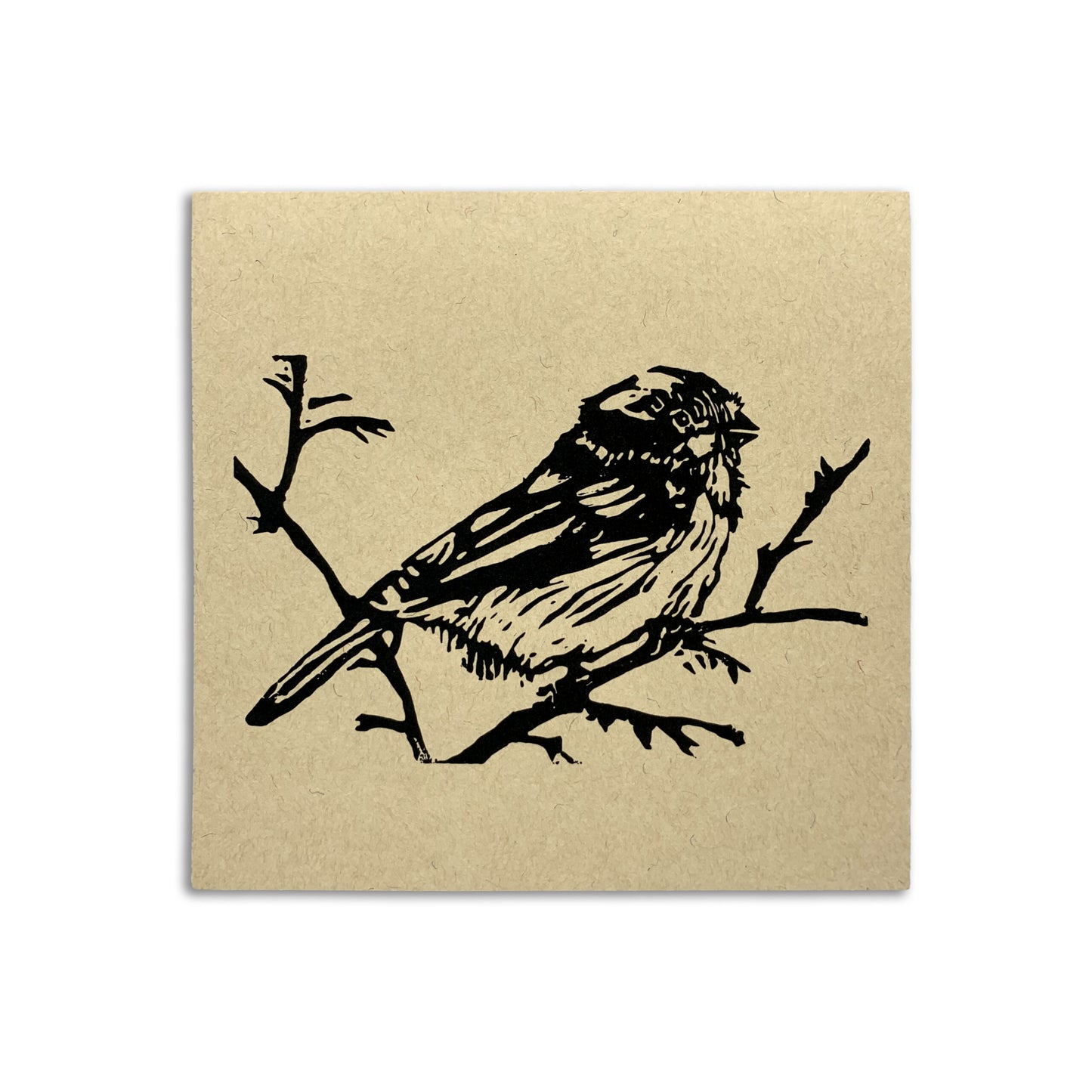 Sapphorica Creations- Woodland + Wildflower Chickadee Art Card